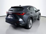 New 2025 Lexus NX 350 AWD w/ Premium Package image 5
