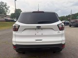Used 2017 Ford Escape SE w/ Equipment Group 201A image 4