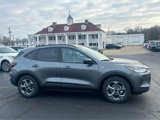 New 2025 Ford Escape ST-Line w/ Equipment Group 301A image 4