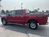 New 2025 Ford F150 XLT w/ Equipment Group 301A Standard image 3