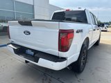 New 2025 Ford F150 STX image 5