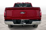 New 2025 Ford F150 XLT w/ Equipment Group 302A MID image 4