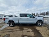 New 2025 Ford F150 XLT w/ Equipment Group 301A Standard image 4