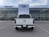 New 2025 Ford F150 XLT w/ Equipment Group 303A High image 5