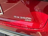 New 2025 Lexus RX 350 image 6