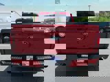 New 2025 Ford F150 XLT image 4