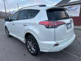 Used 2017 Toyota RAV4 Platinum w/ All Weather Liner Package image 3