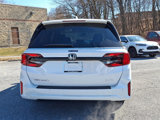 New 2025 Honda Odyssey Elite image 5