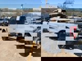 New 2025 Ford F250 Platinum w/ Tremor Off-Road Package image 5