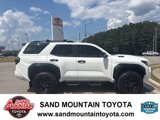 Used 2025 Toyota 4Runner TRD Pro image 2