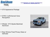Certified 2023 Ford F150 XL w/ STX Appearance Package image 4