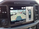 New 2025 Ford F150 XLT w/ Equipment Group 303A High image 6