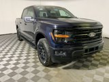 New 2025 Ford F150 XLT w/ Equipment Group 302A MID image 5