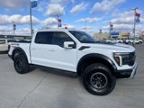 New 2025 Ford F150 Raptor image 2
