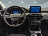New 2025 Ford Escape Active w/ Cold Weather Package image 3