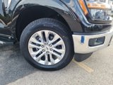 New 2025 Ford F150 XLT image 2