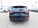 New 2025 Ford Escape ST-Line Elite w/ Premium Technology Package image 4