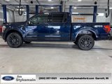 New 2025 Ford F150 Platinum image 5