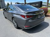 New 2025 Lexus ES 300h w/ Premium Package image 3