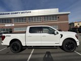 New 2025 Ford F150 Platinum image 4