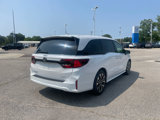 New 2025 Honda Odyssey Elite image 3