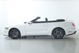 Used 2019 Ford Mustang Premium image 4