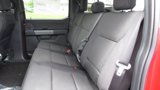 New 2025 Ford F150 XLT w/ Equipment Group 302A MID image 6