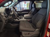 New 2025 Ford F150 XLT w/ Equipment Group 302A MID image 4