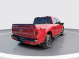 Certified 2021 Ford F150 XLT w/ Equipment Group 302A High image 4
