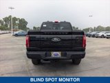 New 2025 Ford F150 Platinum image 4