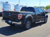 Used 2013 Ford F150 XLT w/ Luxury Equipment Group image 5
