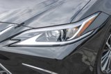 Used 2024 Lexus ES 300h w/ Premium Package image 5