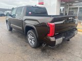 New 2025 Toyota Tundra 1794 Edition image 3