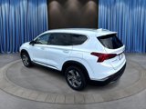 Used 2022 Hyundai Santa Fe SEL w/ Convenience + Premium Package image 5