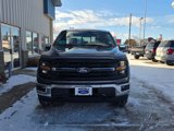 New 2025 Ford F150 XLT w/ Equipment Group 302A MID image 5