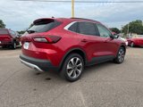 Used 2024 Ford Escape Platinum image 4