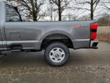 New 2025 Ford F250 XLT image 6