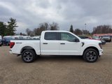 New 2025 Ford F150 STX w/ Equipment Group 200A image 4