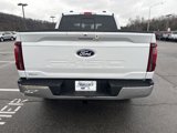 New 2025 Ford F150 Lariat w/ Equipment Group 501A Mid image 5