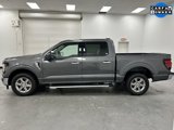 Used 2025 Ford F150 XLT w/ Equipment Group 301A Standard image 2