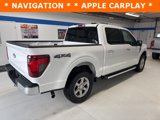 New 2025 Ford F150 XLT w/ Equipment Group 302A MID image 4