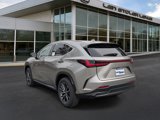New 2026 Lexus NX 350 AWD w/ Premium Package image 3