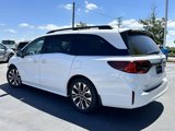 New 2025 Honda Odyssey Elite image 5
