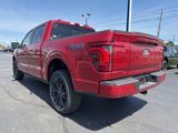 New 2025 Ford F150 Platinum w/ Equipment Group 702A High image 5