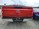 Used 2023 Ford F150 XLT w/ Equipment Group 301A Mid image 4