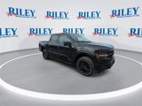 New 2025 Ford F150 XLT image 3