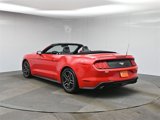 Used 2023 Ford Mustang Premium image 3