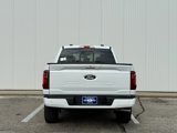 New 2025 Ford F150 XLT image 4