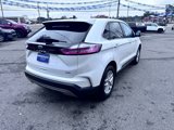 Used 2024 Ford Edge SEL image 5