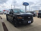 New 2025 Ford F150 XLT image 4